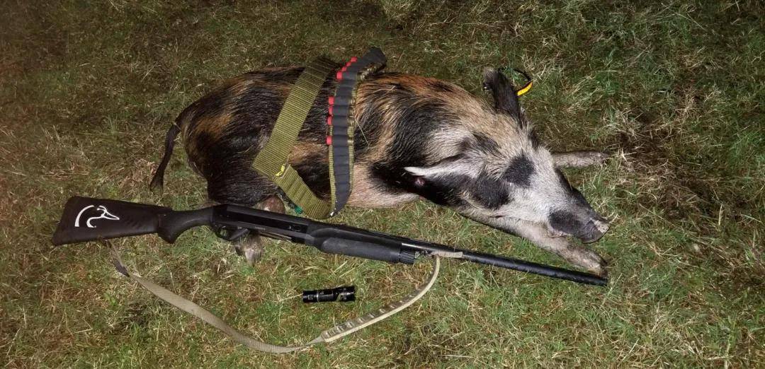 welcome皇冠注册_军迷看了血压飙升welcome皇冠注册!子弹连弹壳一起打出去?丨轻武专栏